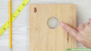 DIY鹦鹉玩具-手把手叫你如何制作鹦鹉繁殖箱