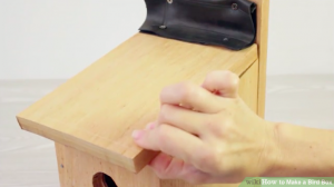 DIY鹦鹉玩具-手把手叫你如何制作鹦鹉繁殖箱