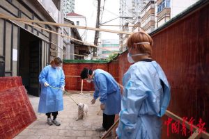 探访上海首个“动物方舱”：疫情下的温情与守护