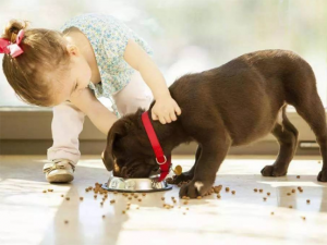 有什么特别适合孩子养的小宠物？什么宠物适合小朋友？