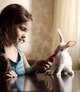 兔子真的爱吃胡萝卜吗？原因是这…