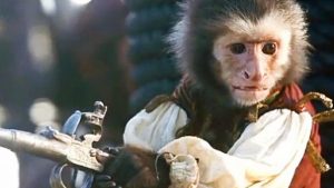 为什么不能把猴子当作宠物？打碎锅碗瓢盆事小，危及生命事大
