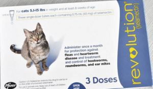 猫咪体外驱虫常见药品分析