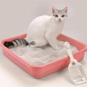 猫砂应该怎么用？（猫砂的使用方法？）