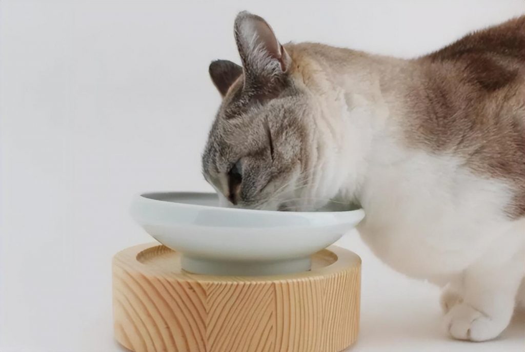 猫感冒吃感冒灵有没有用？最好还是别乱喂，避免出现不良反应