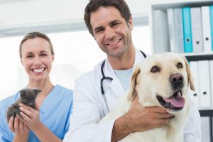 （养狗知识）科普一下：狗狗肠胃炎的原因及治疗养护的知识