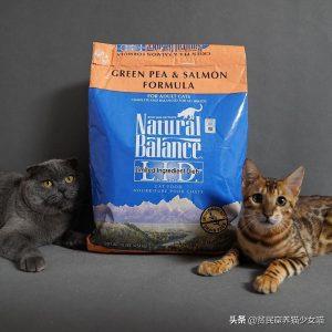 猫粮如何选择？猫粮一个月需要多少钱？