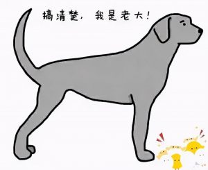 狗狗“摇尾巴”有哪些意思？狗狗摇尾巴代表什么？