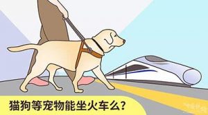 火车上可以带宠物吗？宠物过安检要注意什么？