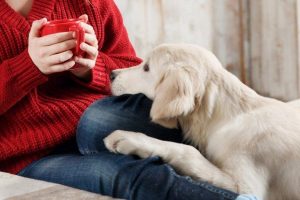 狗狗咖啡因中毒的症状，如何治疗狗狗咖啡因中毒？