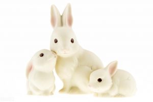 兔子品种分类方向各不相同，常见分类品种是什么？