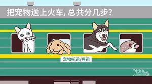 火车上可以带宠物吗？宠物过安检要注意什么？