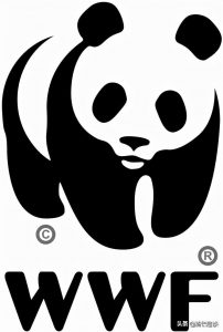 大熊猫有哪些生活习性？为什么会喜欢吃竹子？