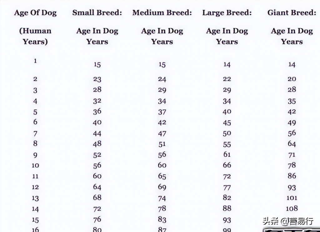 如何辨别狗狗的年龄？狗一岁相当于人几岁？