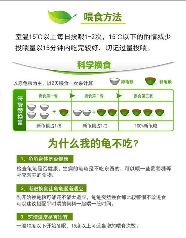 龟粮如何喂?龟粮的正确喂食方法(龟粮放哪里喂龟好) 龟粮如何喂?龟粮的正确喂食方法(龟粮放哪里喂龟好)