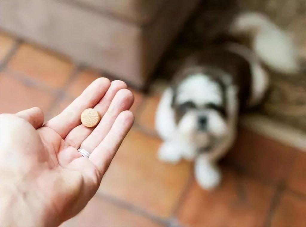 为什么自己每次给狗狗吃贵的驱虫药，都没看到拉虫子？