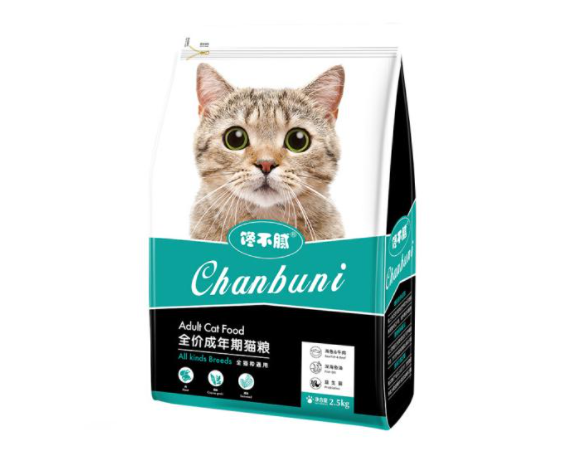 1~12月猫咪如何饲养?猫咪饲养注意事项指南分享 1~12月猫咪如何饲养?猫咪饲养注意事项指南分享