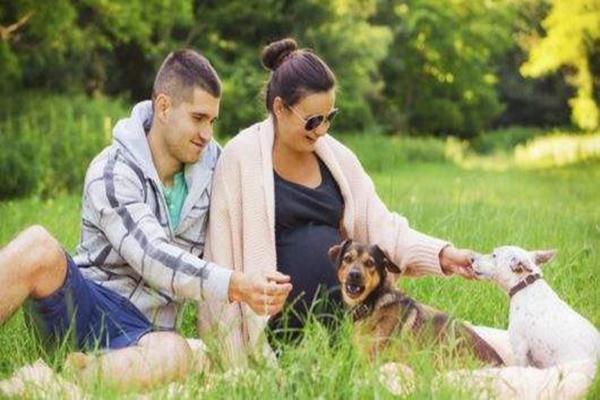 怀孕了真的不能养狗吗？孕期养狗还是可以的，孕妇养狗需要注意这些事项