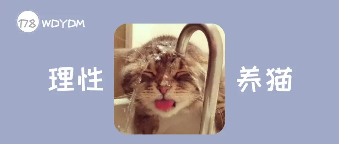 为什么猫咪不喜欢喝水？猫咪一天的饮水量是多少？