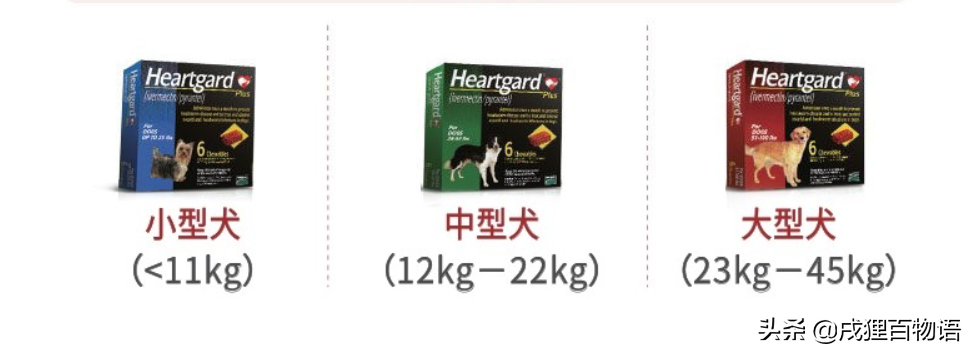 8种市面常见犬类驱虫药，对抗10多种狗狗寄生虫首先明确驱什么虫？