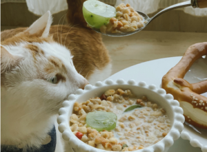 猫咪吃什么可以补充维生素C、E？
