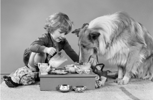 狗狗羊奶粉正确的喂食方法是怎么样的？