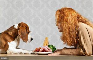狗狗身体最重要的6种“营养素”，缺少任何一种都不行