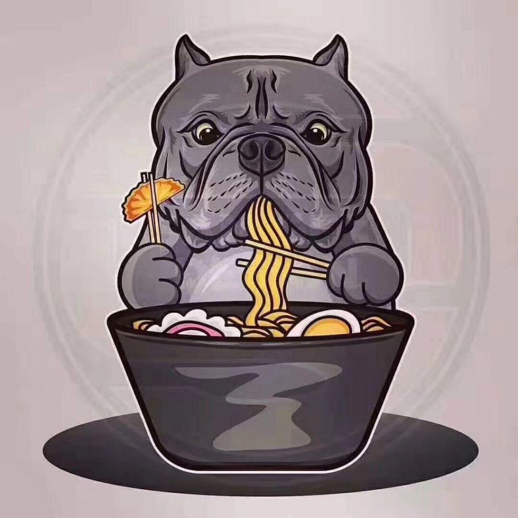 狗狗得了肠胃炎怎么办?狗狗得了肠胃炎的4个措施 狗狗得了肠胃炎怎么办?狗狗得了肠胃炎的4个措施