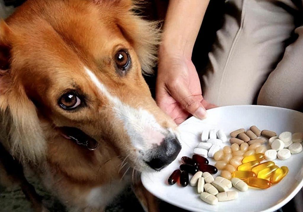 为什么自己每次给狗狗吃贵的驱虫药，都没看到拉虫子？