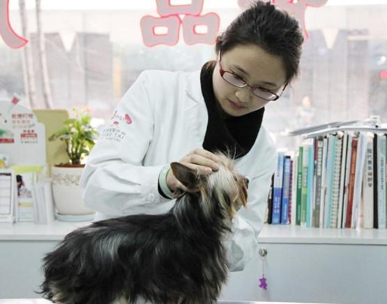 宠物被推荐注射犬八联疫苗,六联和八联两者之间到底有什么区别? 宠物被推荐注射犬八联疫苗,六联和八联两者之间到底有什么区别?