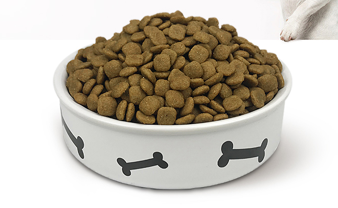 饲养比熊犬7大注意事项，主食吃什么比较好？