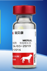 狗狗的疫苗知识百科全解,狗狗需要打什么疫苗? 狗狗的疫苗知识百科全解,狗狗需要打什么疫苗?