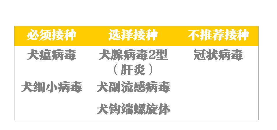 狗狗的疫苗知识百科全解，狗狗需要打什么疫苗？