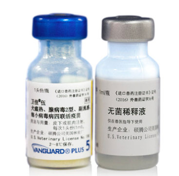 狗狗的疫苗知识百科全解,狗狗需要打什么疫苗? 狗狗的疫苗知识百科全解,狗狗需要打什么疫苗?