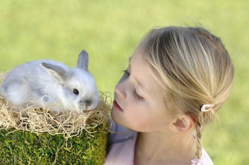 兔子眼睛发炎发脓用什么药？需要采取什么措施护理？