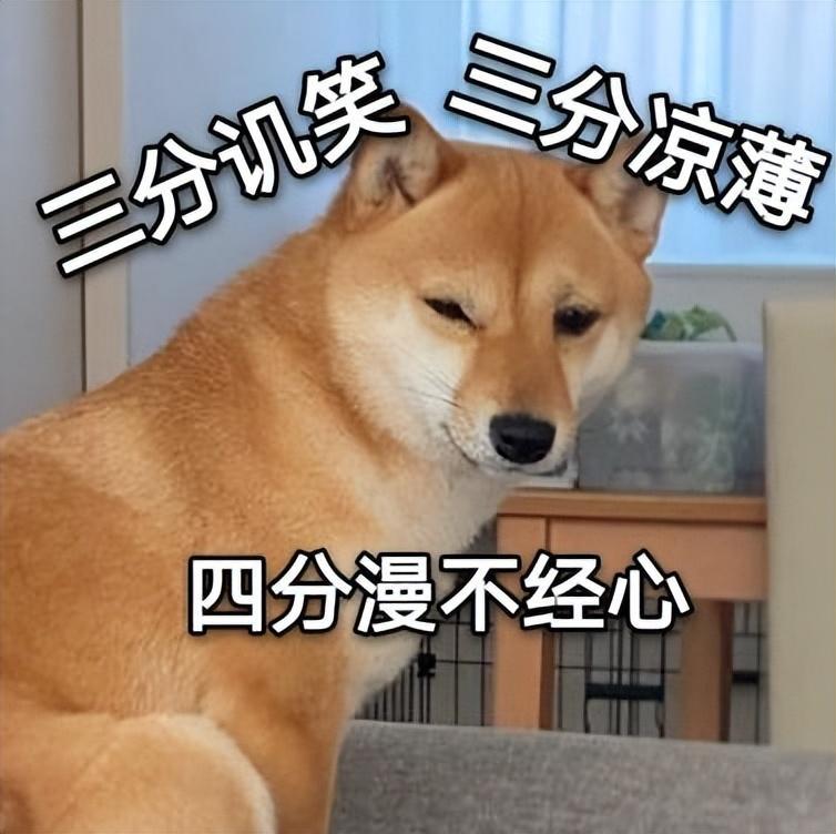喜欢狗又怕吵,不妨养这5种狗,很安静不会扰民,很难让人不爱 喜欢狗又怕吵,不妨养这5种狗,很安静不会扰民,很难让人不爱