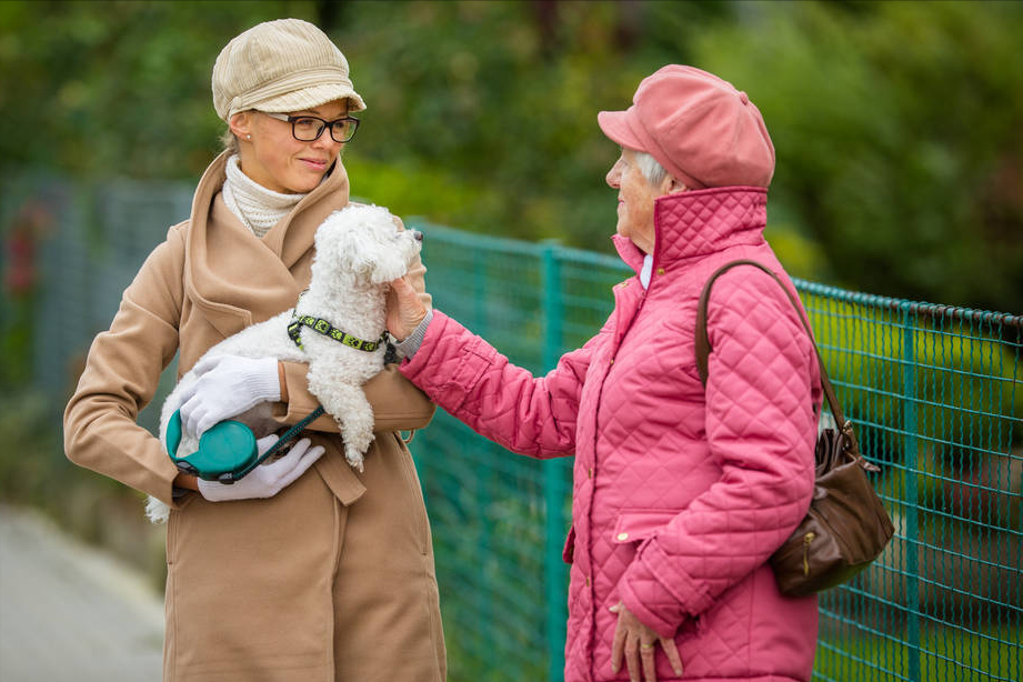 比熊犬好养吗？看看它的优缺点，就知道答案了