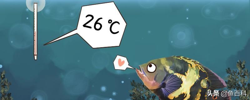地图鱼适合水温多少度？最好不要超过30℃