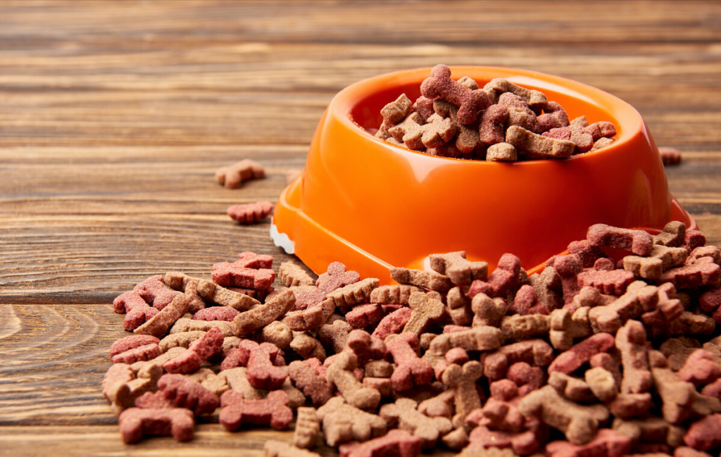 狗狗一天喂食多少狗粮？这个标准量是怎么定的？