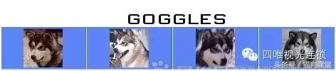 阿拉斯加犬有多少种脸型？