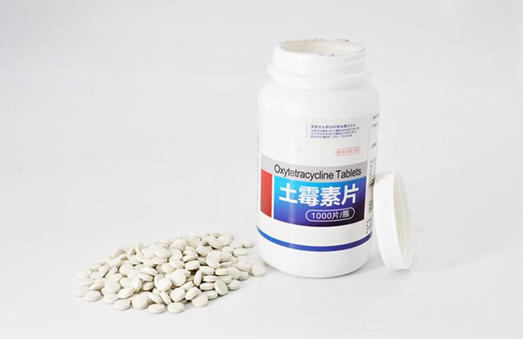 家中常备这些药,狗狗再也不怕生病了 家中常备这些药,狗狗再也不怕生病了