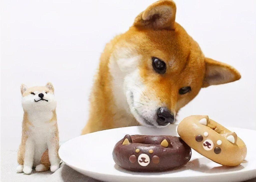狗狗不能吃的7种人类食物有哪些？别让好心伤害了它