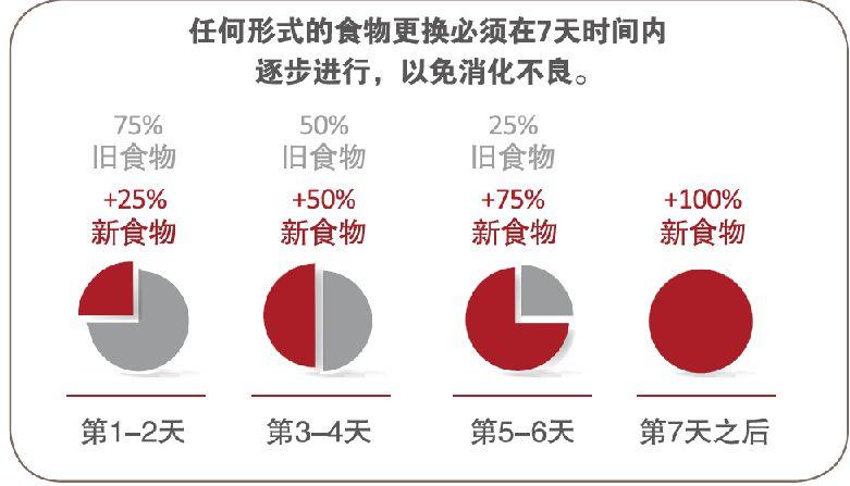 【新手饲养指南】关于饲养哈士奇的7个问题！哈士奇掉毛吗？