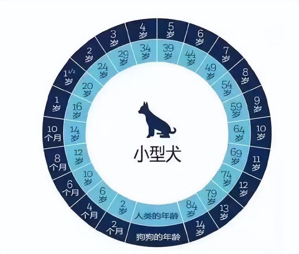 法国斗牛犬年龄表：你家法牛相当于人类几岁？