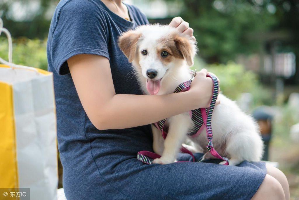 狂犬疫苗一般打几针？这些常识你可要了解了解