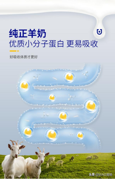 刚出生的小猫/狗该怎么喂羊奶粉?(刚生出来的小猫长什么样子的图片) 刚出生的小猫/狗该怎么喂羊奶粉?(刚生出来的小猫长什么样子的图片)