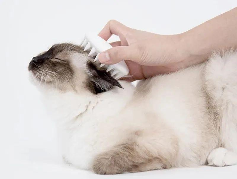如何在家帮猫咪修剪毛发？帮猫咪修剪毛发技巧，让家里猫猫更加美美哒