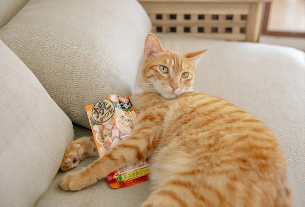 你家的猫猫吃零食吗？，怎么判断猫咪是否上瘾？