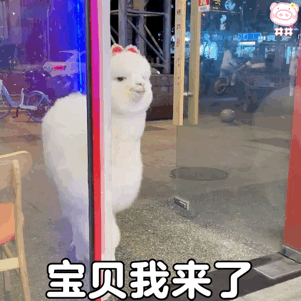 羊驼为什么喜欢吐口水呢？是它的一种防御行为