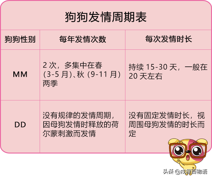 狗狗一般什么时候发情？狗狗的发情周期是怎样的？